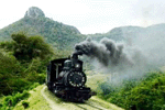 locomotora 8, en el camino para Paraise