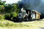 locomotora No. 1385 del 1919 con su tren bajando