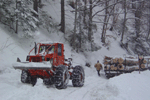 Verschub der Langholzwagen